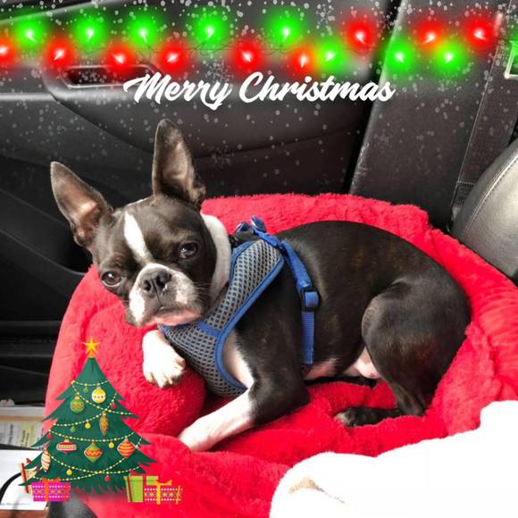 Meet your Posher, Theresa - Picture 1 of 1